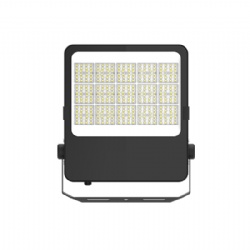 RD Series Flood Light